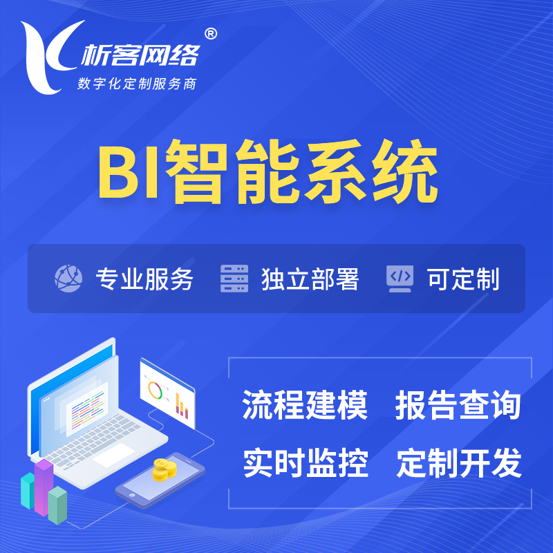 淮南BI智能系统 | BI数据可视化