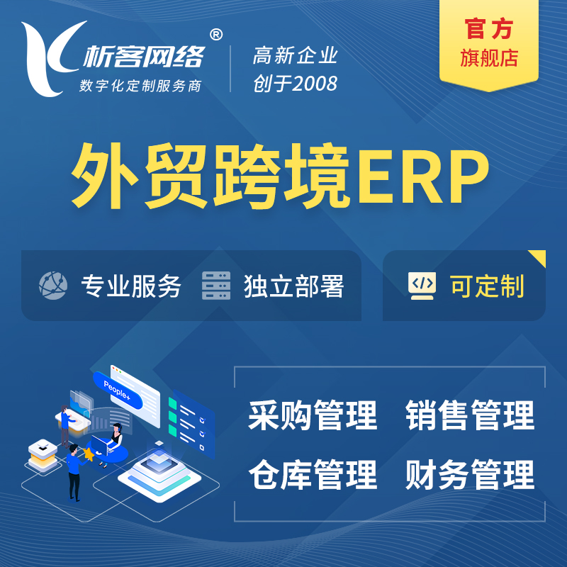 淮南外贸跨境ERP软件生产海外仓ERP管理系统